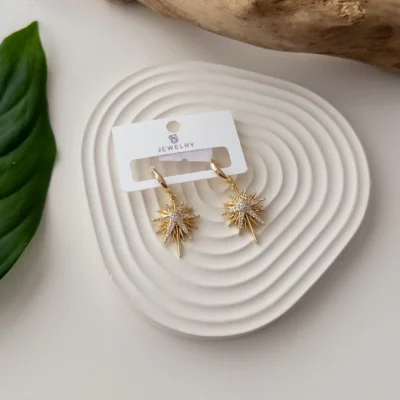 İthal Zirkon Taş İşlemeli Kutupyıldızı Figür Sallantılı Minimal Halka Küpe