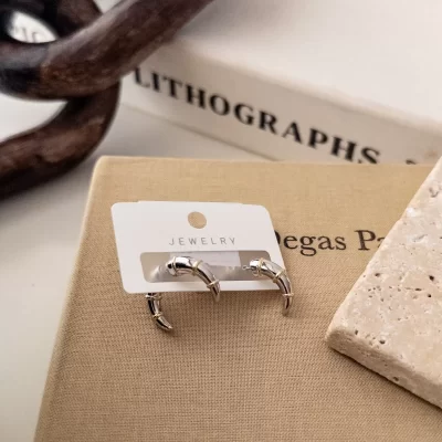 Çift Renk Kulak Önü Ve Arkası Takılan Tasarım Minimal Boynuz Küpe