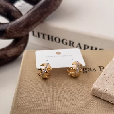 Ortası Taşlı Kenarları Çıkıntılı Tasarım Plaka Halka Küpe