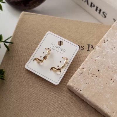 Xp Zirkon Taş Çıkıntılı Tarz Halka Küpe