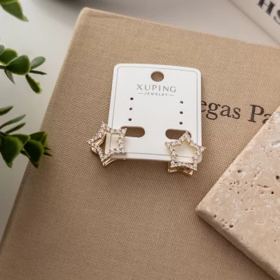 Xp Zirkon Taşlı Halka Kapamalı Tarz Yıldız Küpe