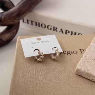 Zirkon Taş İşlemeli Çift Renk Minimal Halka Küpe