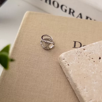 Zirkon Taşlı Tasarım Zarif Gümüş Renk Earcuff Küpe